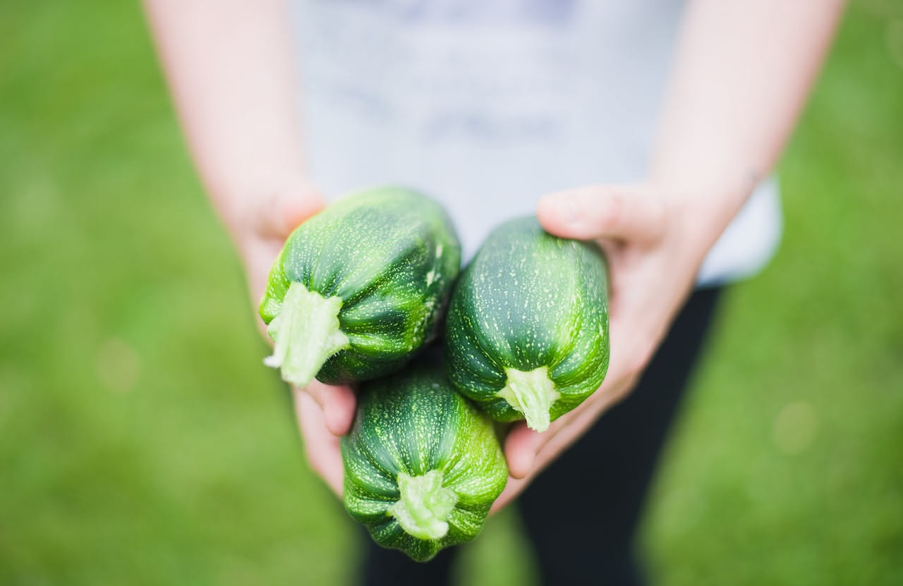 Come conservare le zucchine in frigorifero col caldo di luglio: i metodi che funzionano