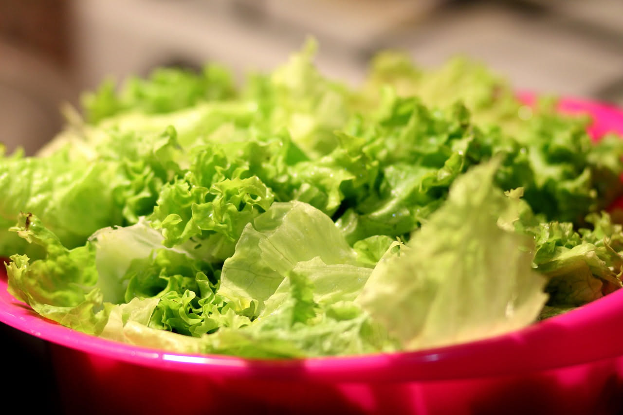 Insalata verde croccante in contenitore di plastica trasparente con foglie di lattuga fresca, pomodori rossi e un foglio di carta da cucina bianca