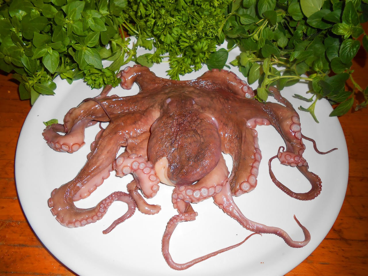 Un polpo fresco di colore rosso-brunastro con i tentacoli ripiegati, adagiato su ghiaccio con prezzemolo e limone fresco