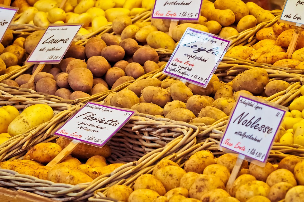 Assortimento di patate di varietà diverse: patate rosse, gialle, rosa e viola, disposte su un tavolo di legno con terra ancora visibile