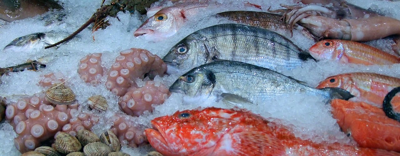 Pesce intero fresco su ghiaccio con occhi trasparenti e brillanti, branchie rosse accese, pelle umida con squame lucide, su banco di vendita al mercato